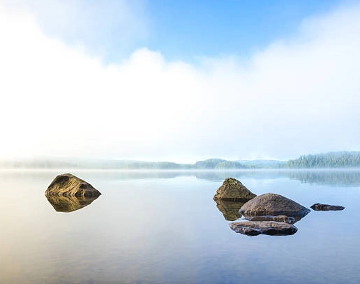 counselling steying faq